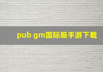 pub gm国际服手游下载